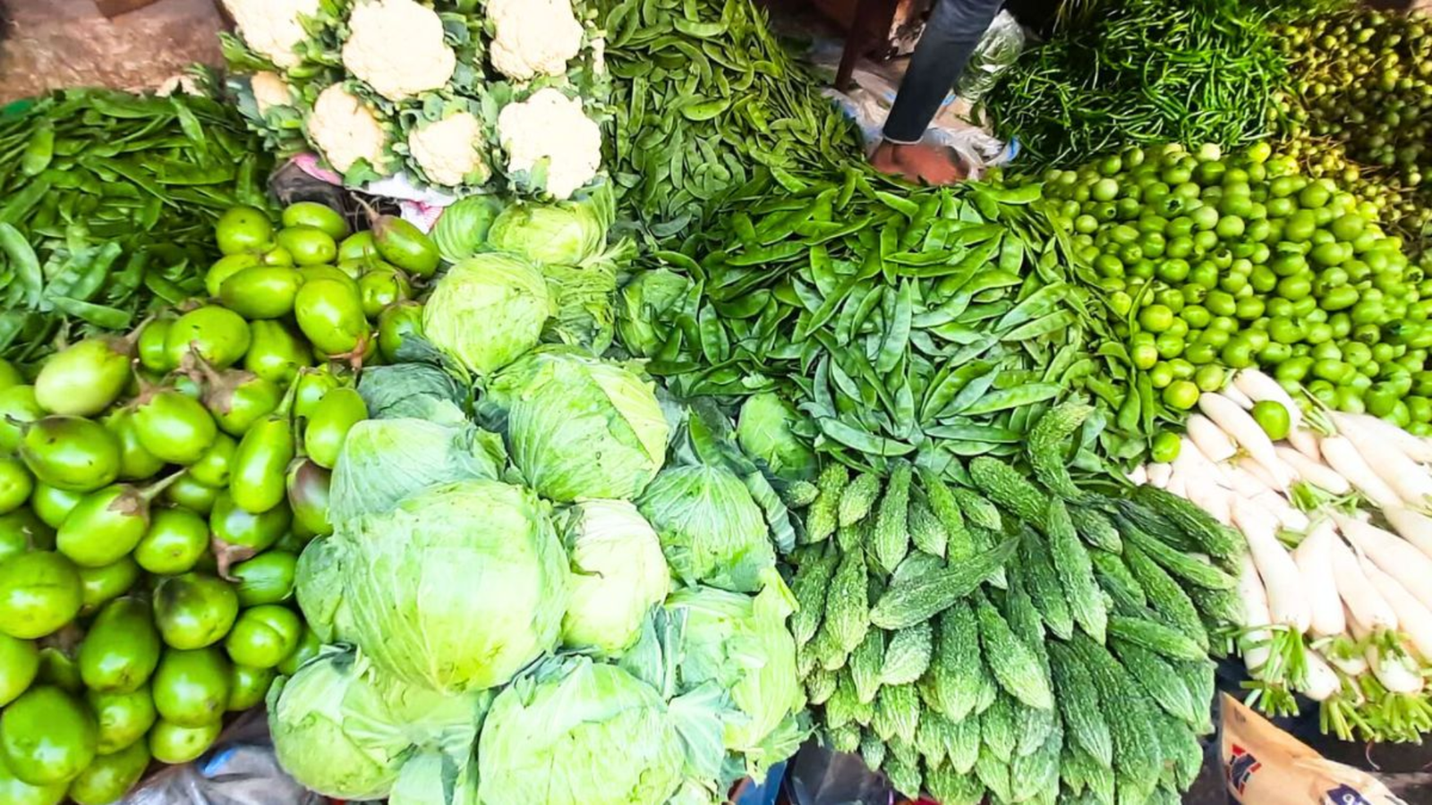 Shikor Web Image (27)