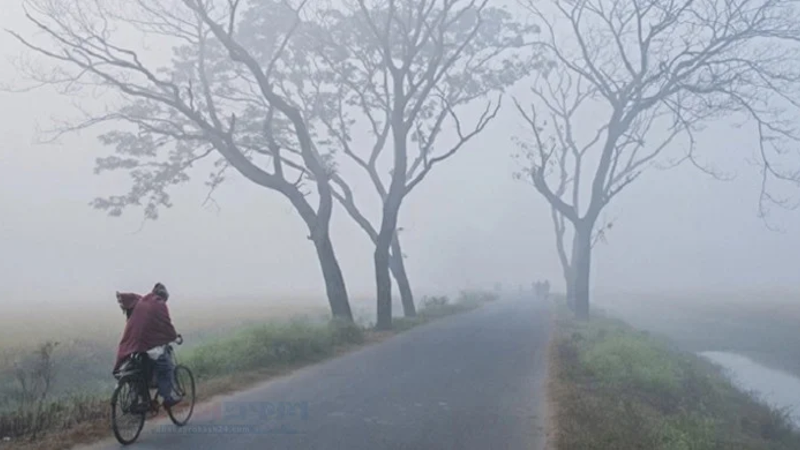 Shikor Web Image (10)