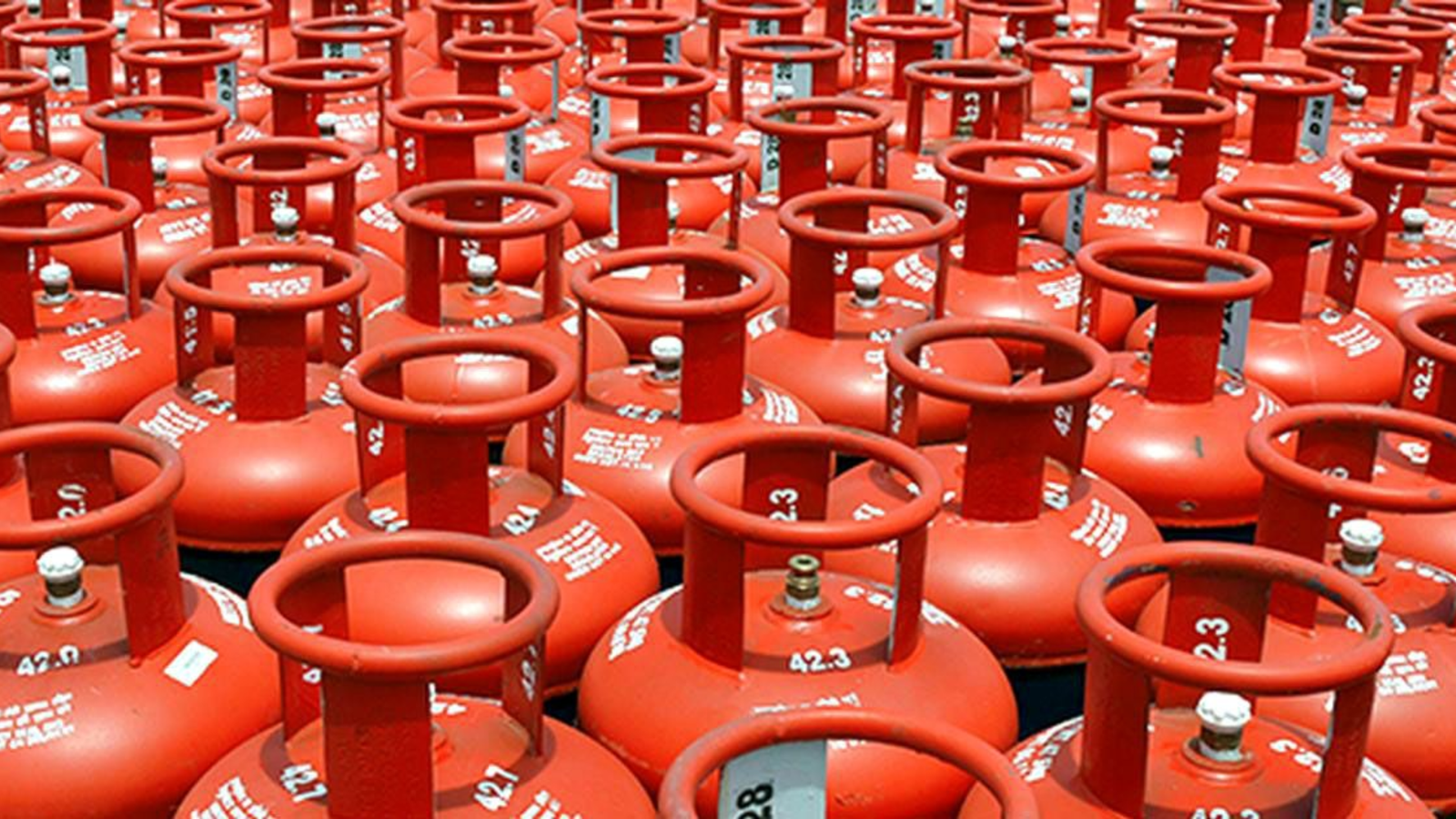 Shikor Web Image - 2026-01-08T145843.916