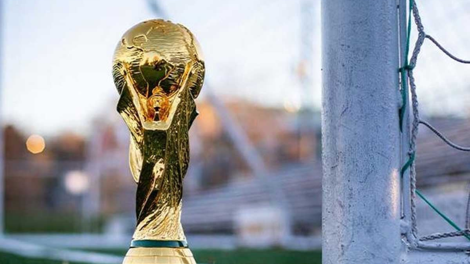 Shikor Web Image (36)