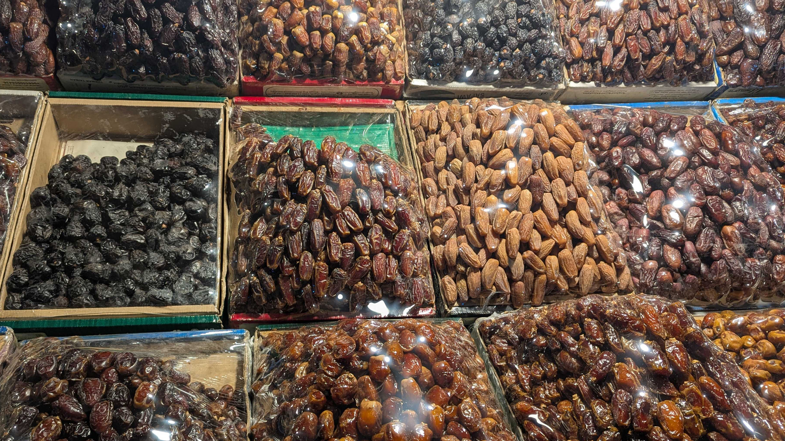 Shikor Web Image (26)