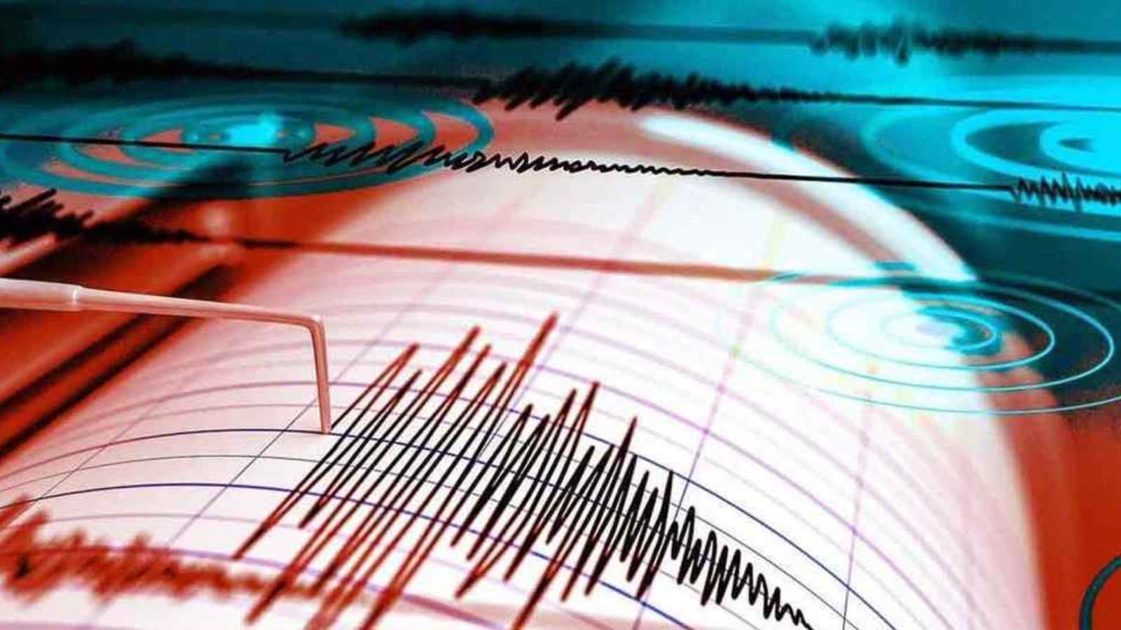 Shikor Web Image (61)