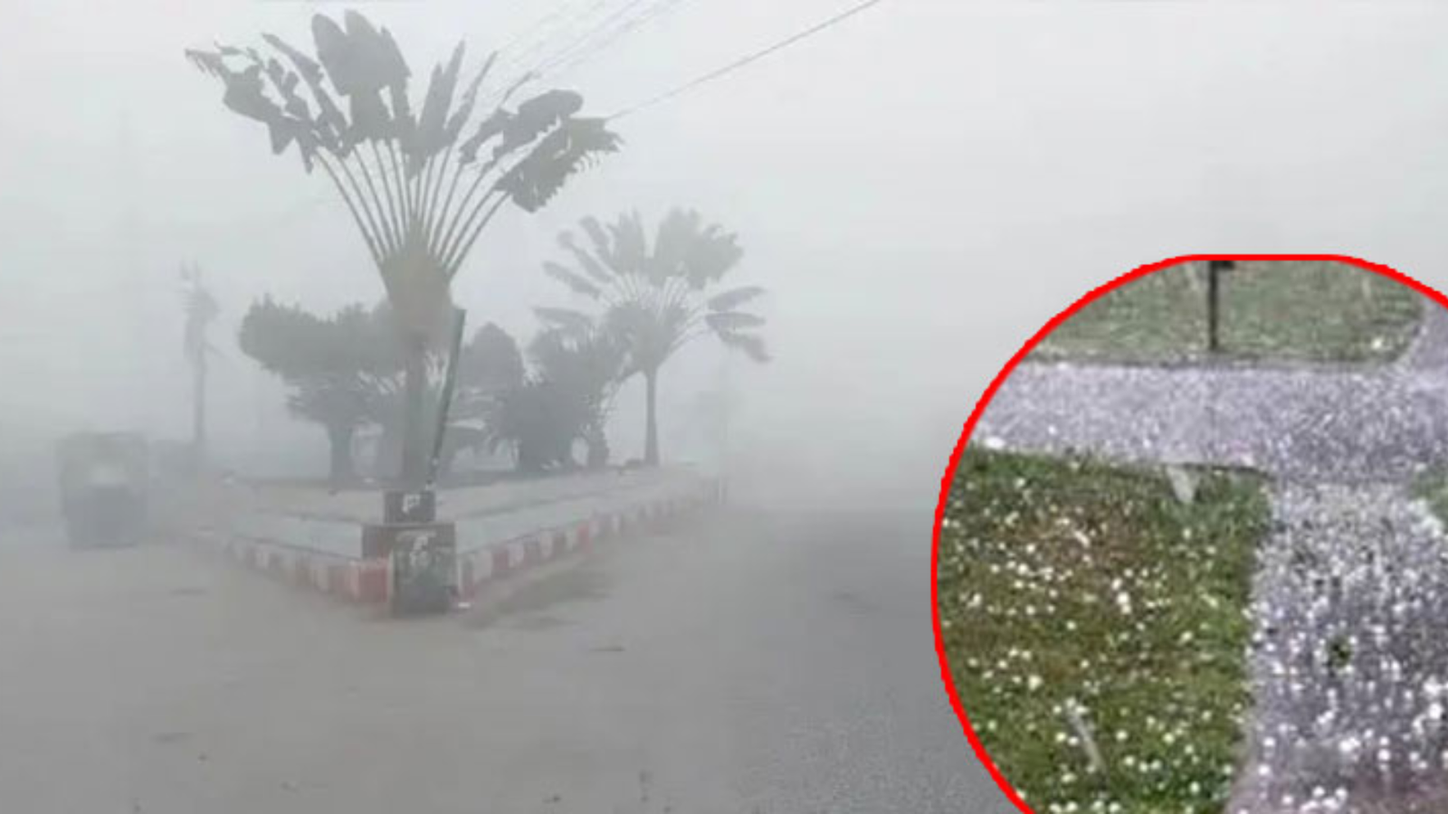 Shikor Web Image (63)