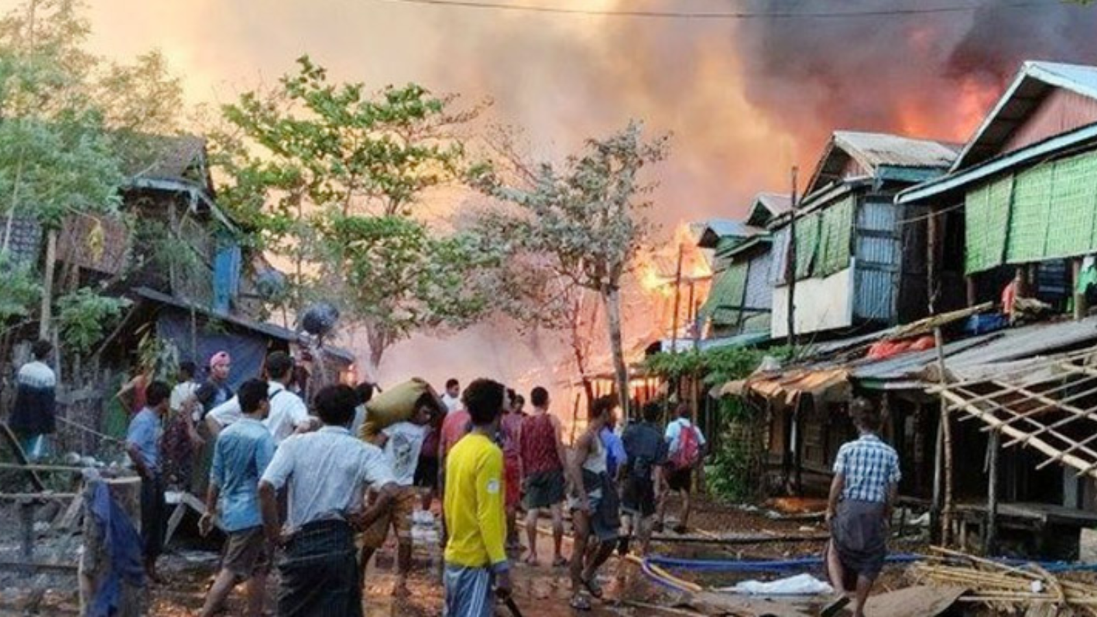 Shikor Web Image (71)