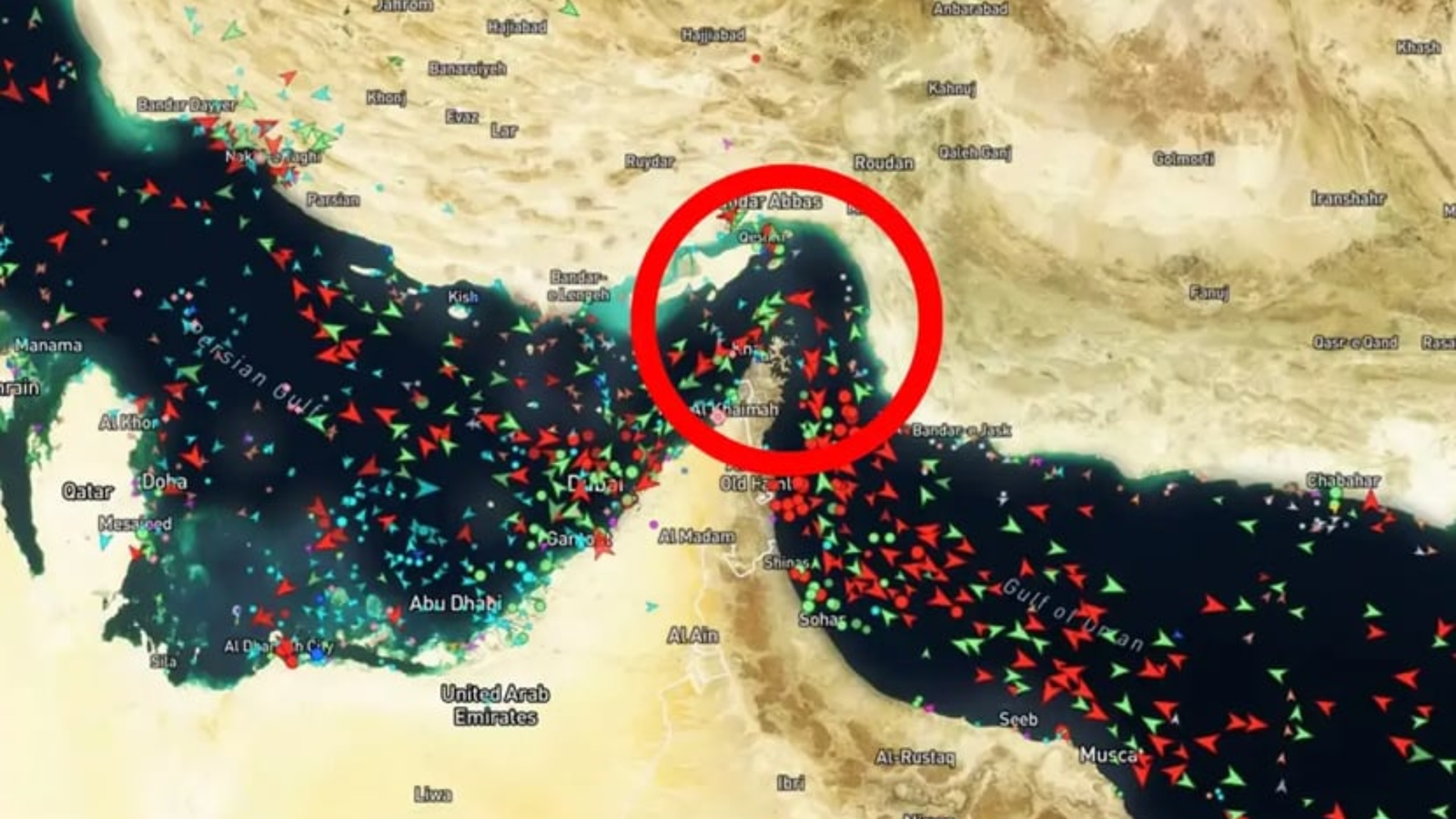 Shikor Web Image (11)