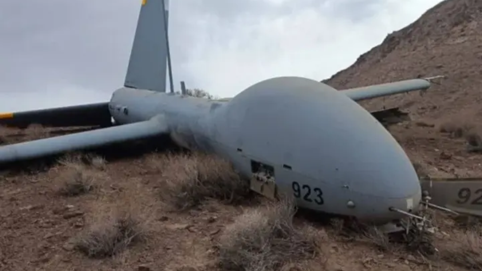 Shikor Web Image (89)