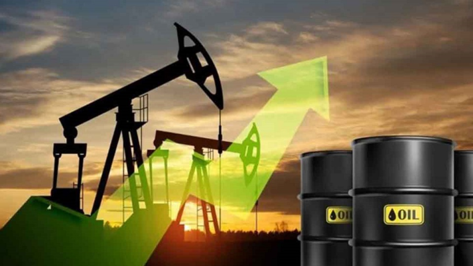 Shikor Web Image (15)