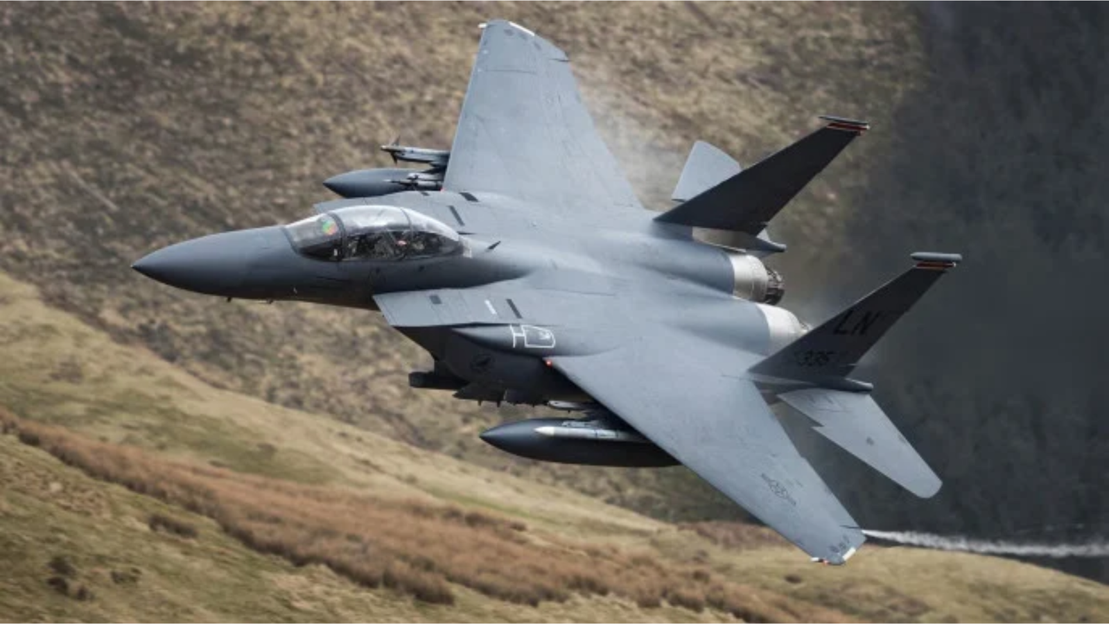 Shikor Web Image (42)