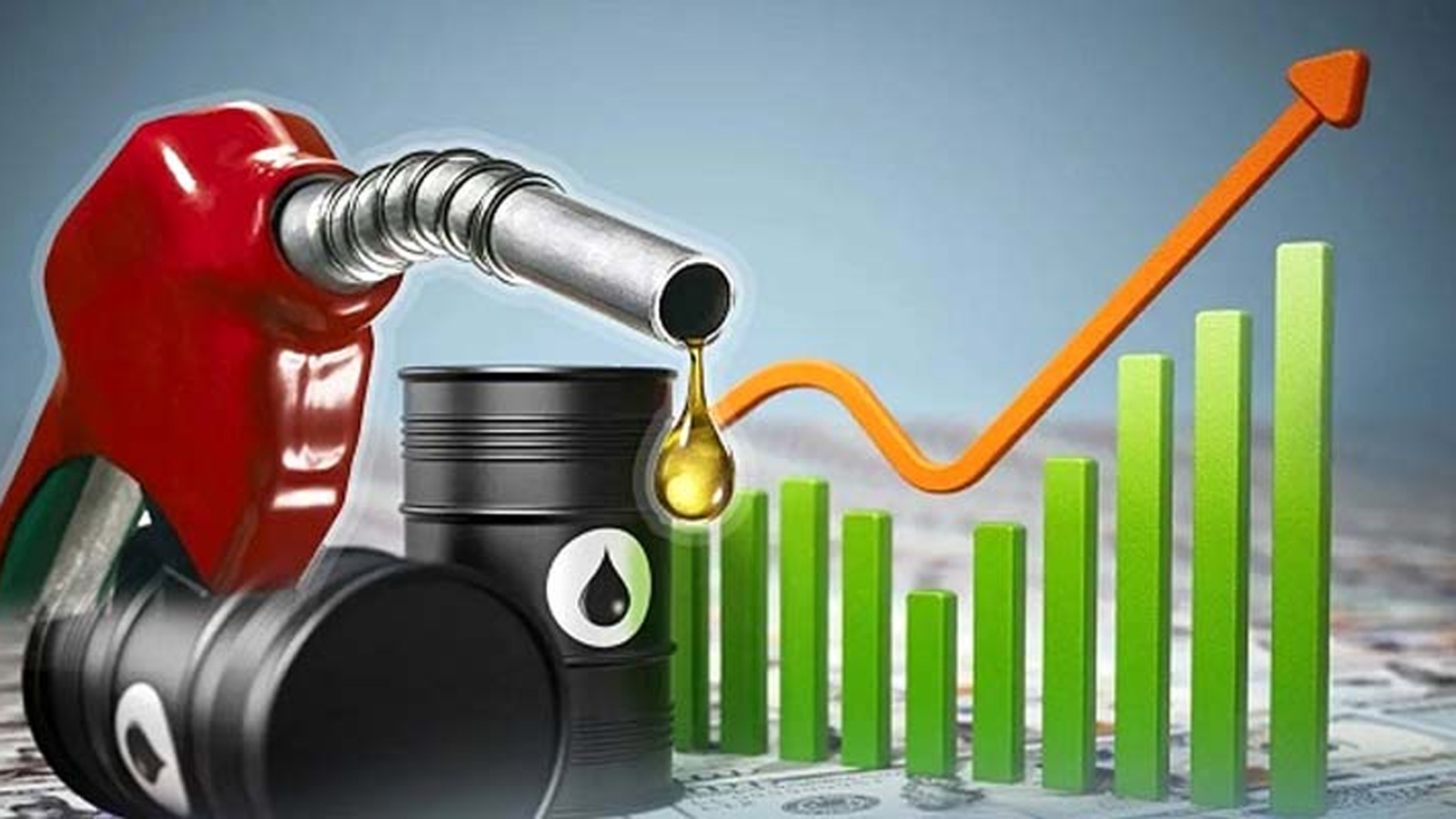 Shikor Web Image (5)